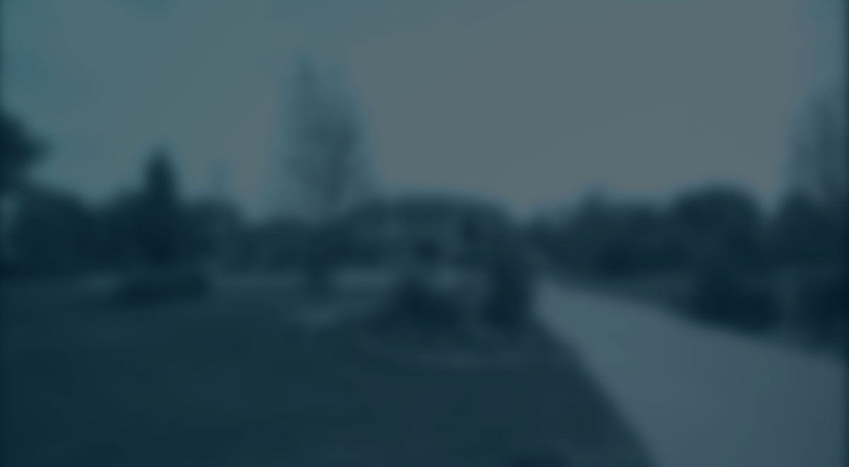 Property Tax reductions